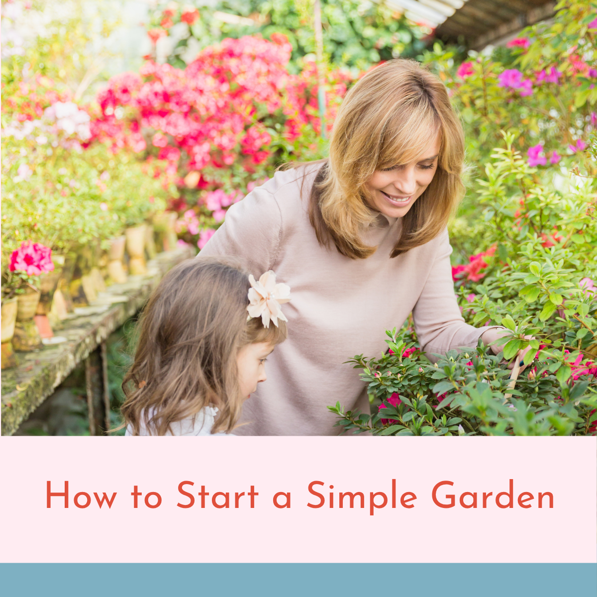 How to Start a Simple Garden